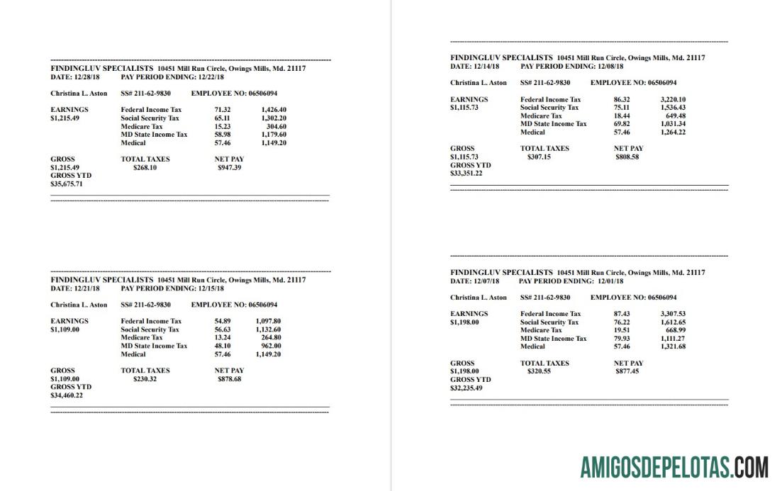 Findingluv Specialits Company contracheque em formato PDF e Word amostra